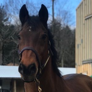 Meet your Posher, Jordan